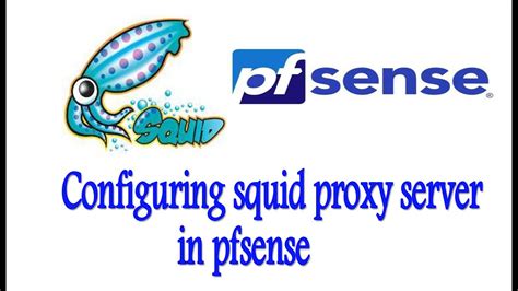 proxy in Urdu .